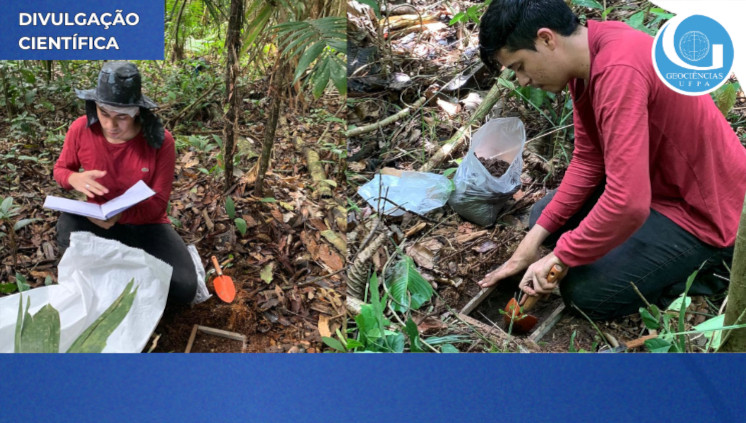 Pesquisadores analisam os efeitos dos incêndios florestais no banco de sementes do solo de uma floresta de terra firme na Amazônia.